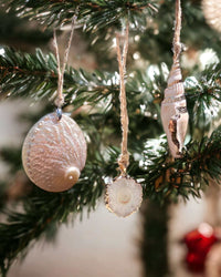 Thumbnail for Stunning Seashell and Crystal Gemstone Christmas Tree Ornaments. Gift Ideas