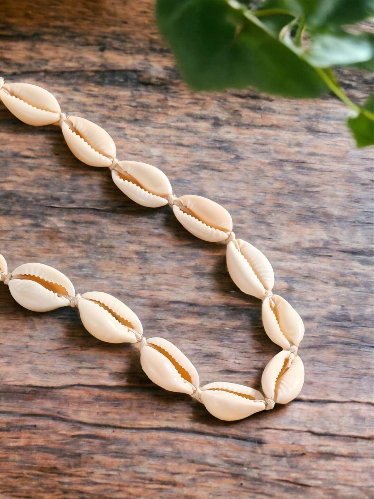 Embrace beach vibes with our Cowrie Shell Choker Necklace. This Boho Shell Choker adds a touch of spiritual elegance and is adjustable for the perfect fit. $12.00