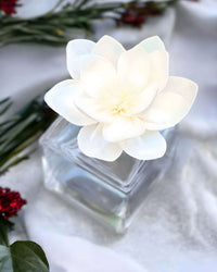 Thumbnail for Buy Water Lily Home Fragrance Diffuser | Natural for only A$40.00 at Enchanting Aromas!