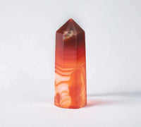 Thumbnail for White Sage and carnelian gift set